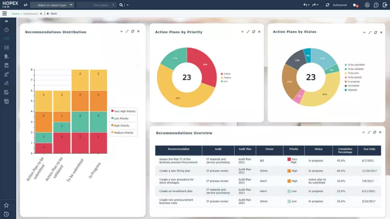 Conify Mega Hopex internal audit
